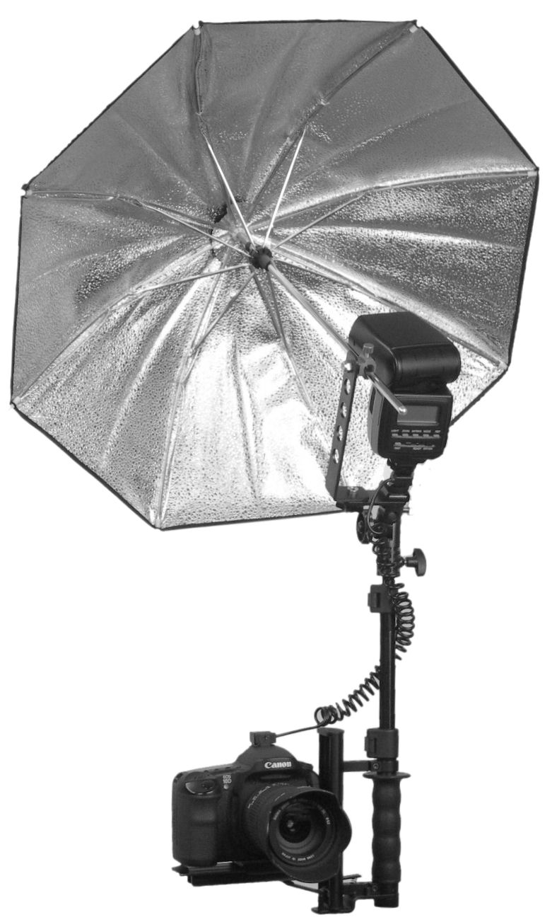 ALZO Umbrella Clamp with 1/4 x 20 Screw - ALZO Digital