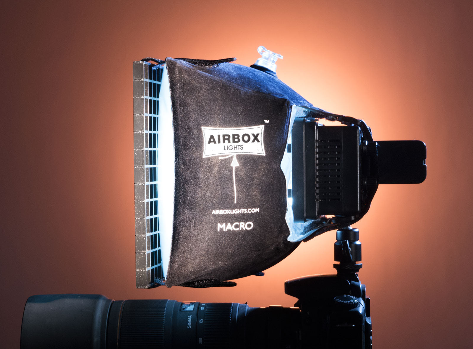 Which Softbox is Best for Photography in 2024? (5 Lighting Kits)